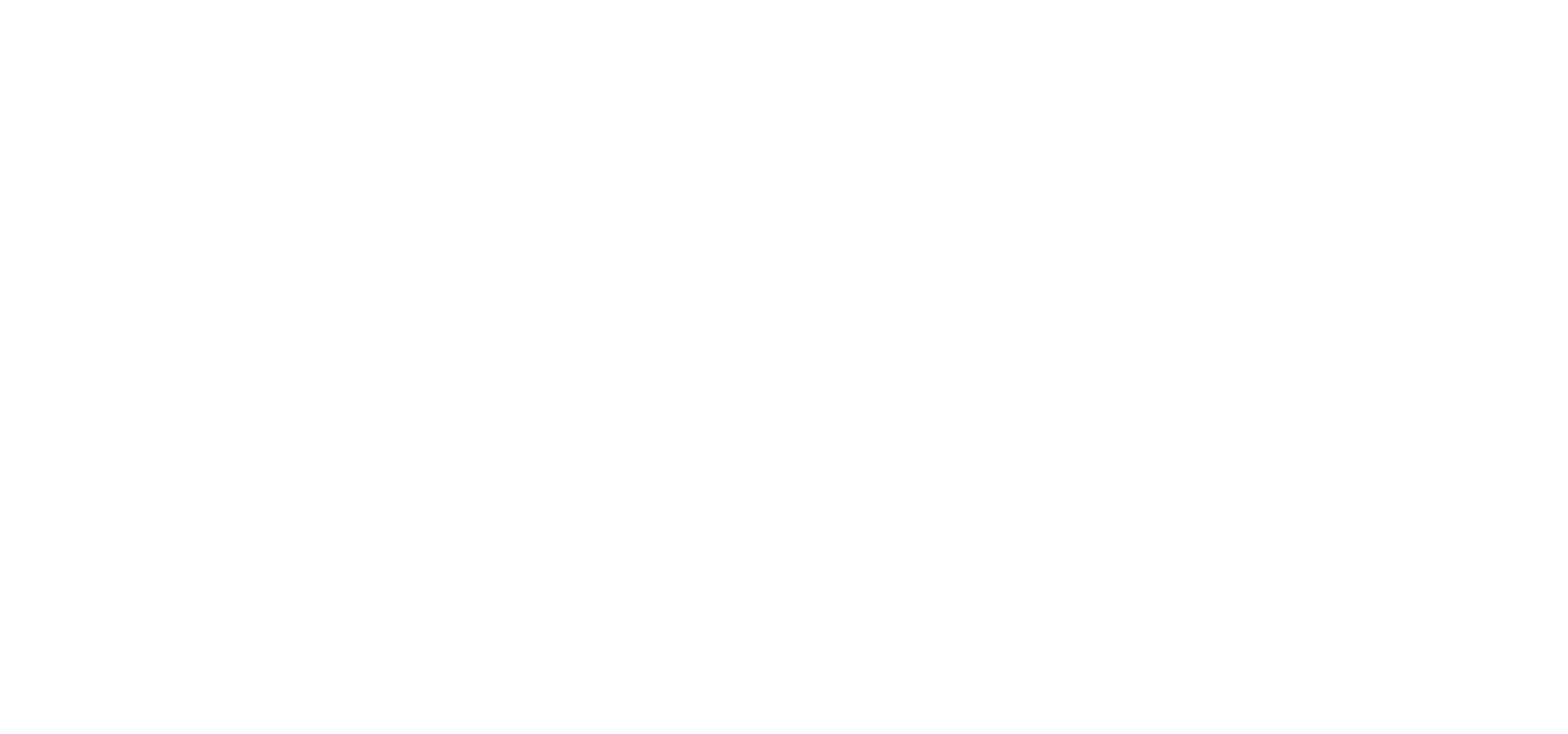 רשת שגב